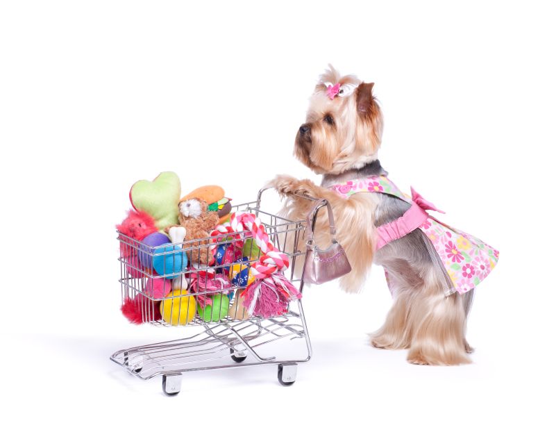 Marietta Vet Clinic Offers Dog and Cat Treats From Office Easter Basket